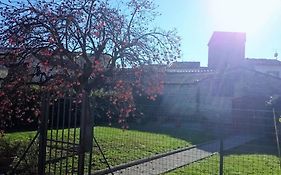 La Casa Di Lucia - Firenze